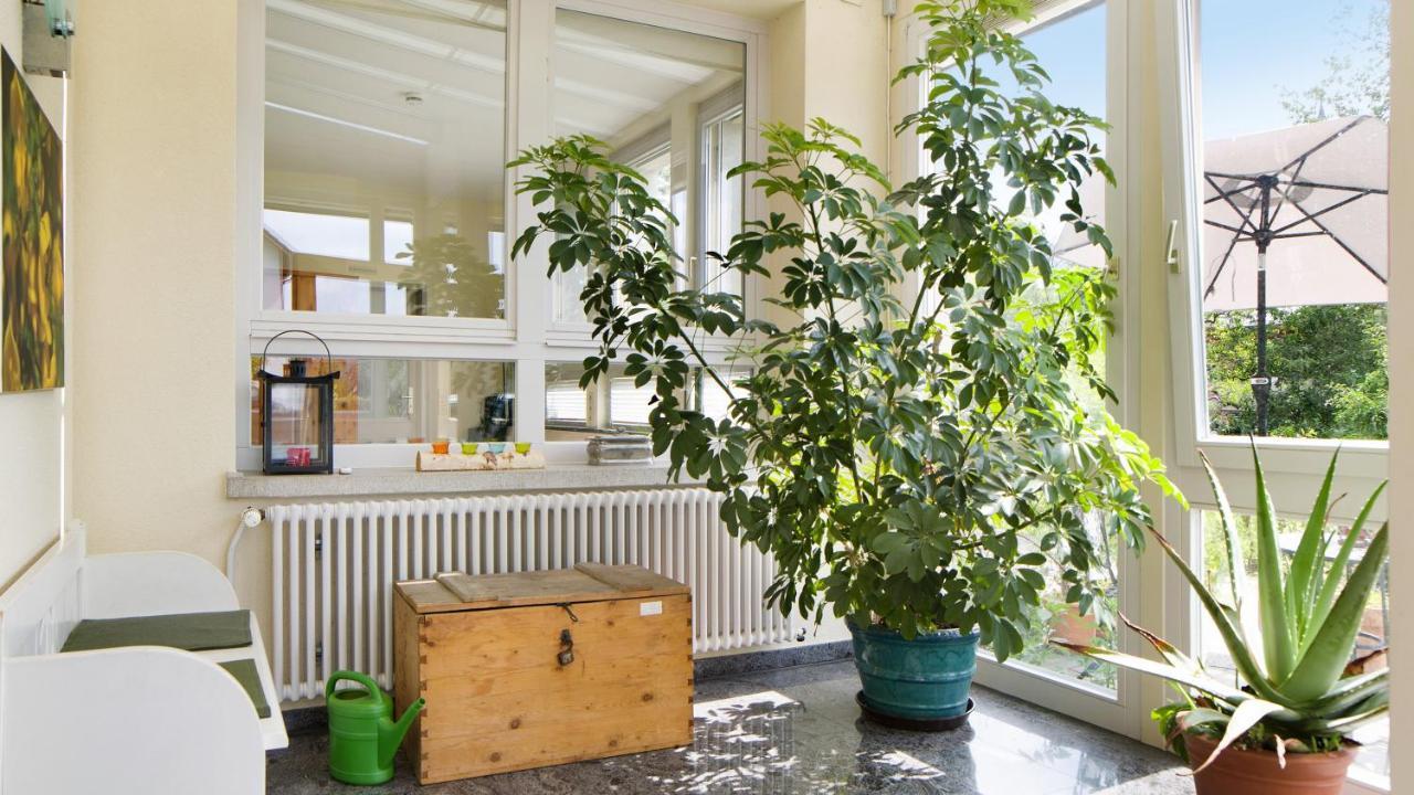 Ferienwohnung Zum Goldenen Kopf Elzach Dış mekan fotoğraf